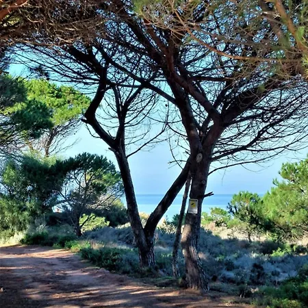 Appartamento Calarossa Sardegna Casarosa Isola Rossa Extérieur photo
