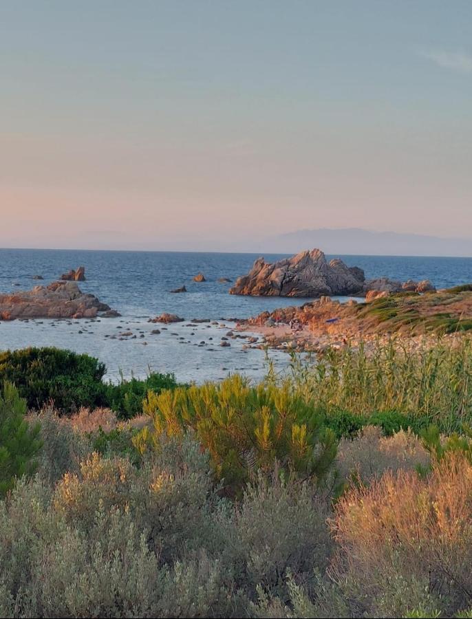 Calarossa Sardegna Casarosa Apartment Isola Rossa