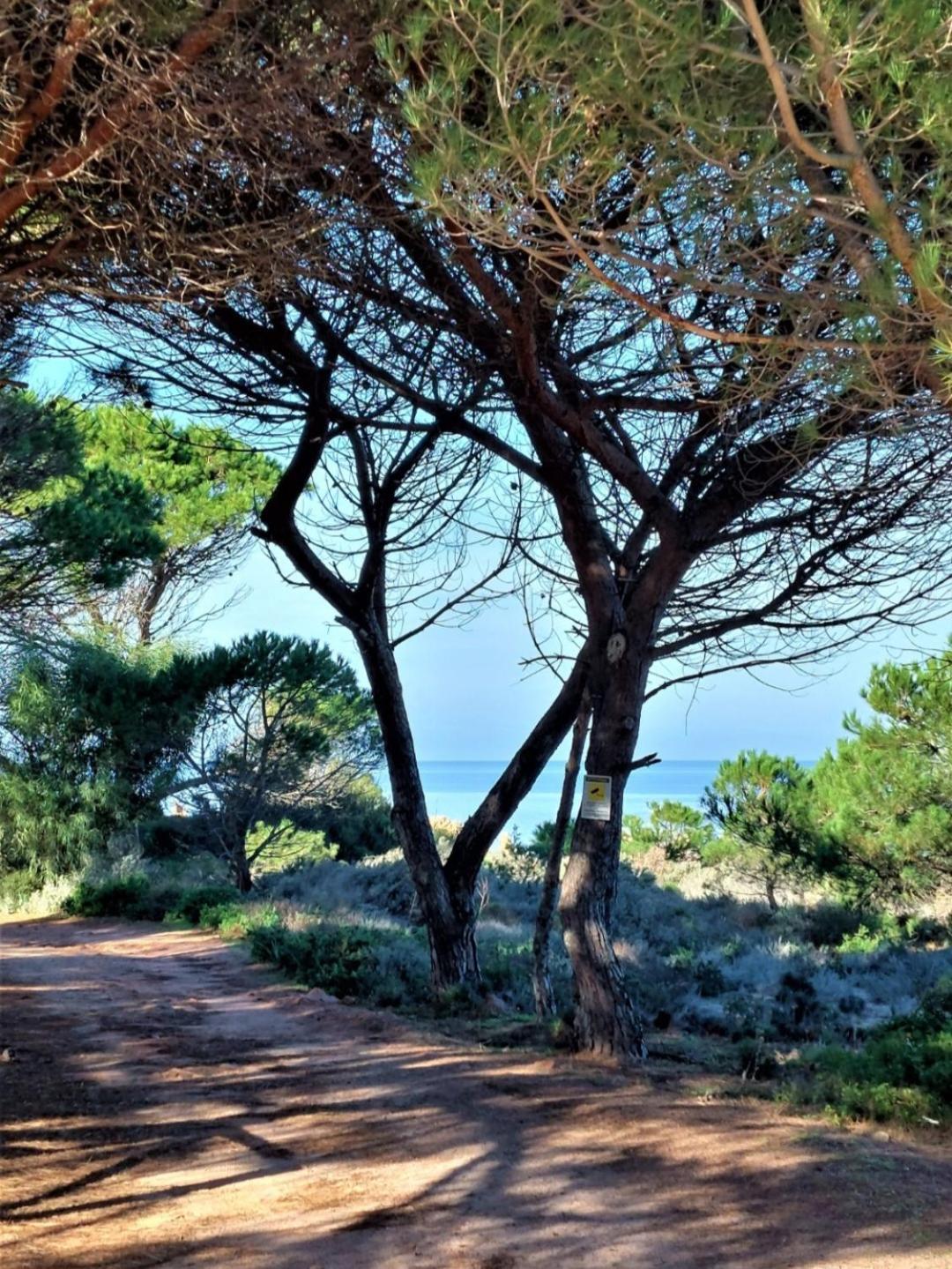 Apartment Calarossa Sardegna Casarosa *
